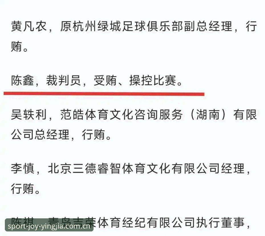 盈嘉正品购买评测 足协第三批禁足名单深度解析:65名足球从业者被重罚,行业乱象一览